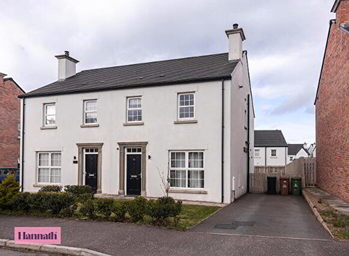 3 Bedroom Semi-Detached House For Sale In Dicksons Wood, Craigavon, BT65