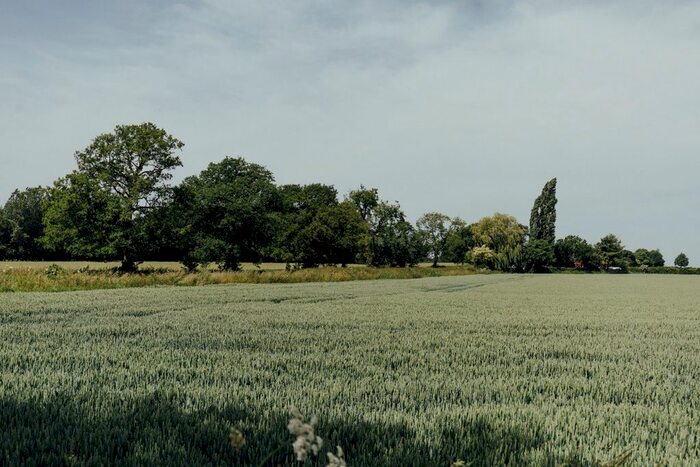 4 Bedroom Detached House For Sale In Oak Lane, Ashbourne, DE6