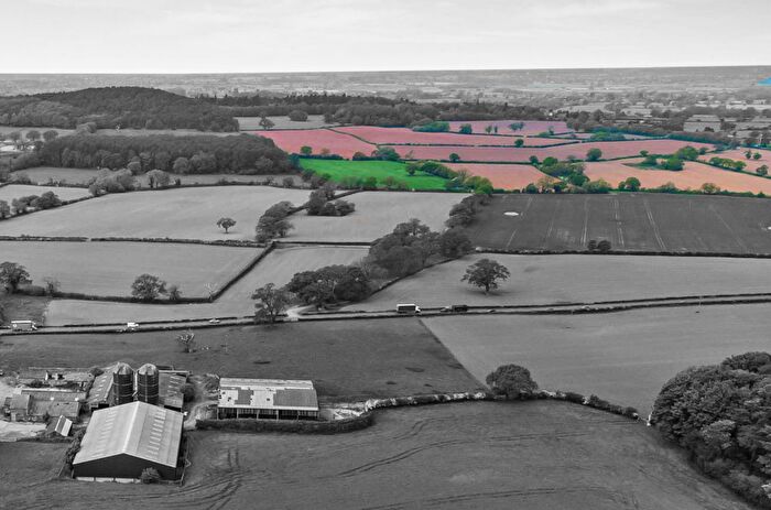 Farm Land For Sale In Oak Farm, Broxton - Lot, CH3