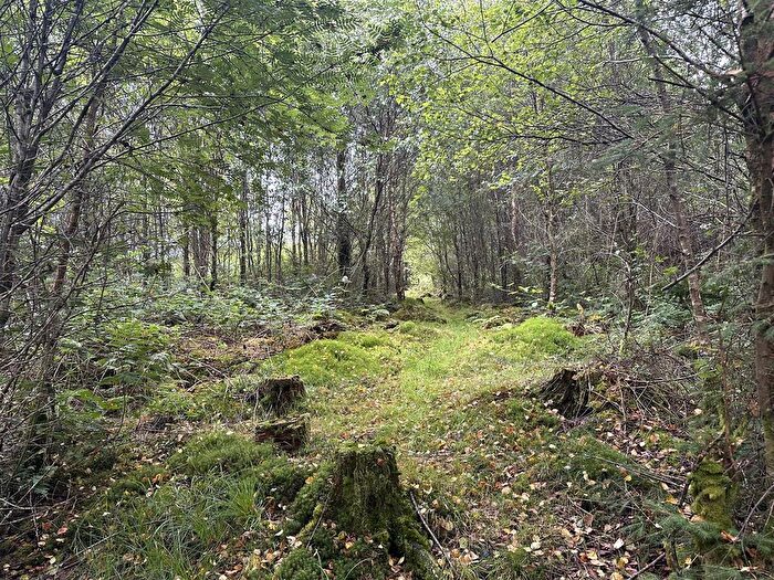 Land For Sale In Cellan, Lampeter, SA48