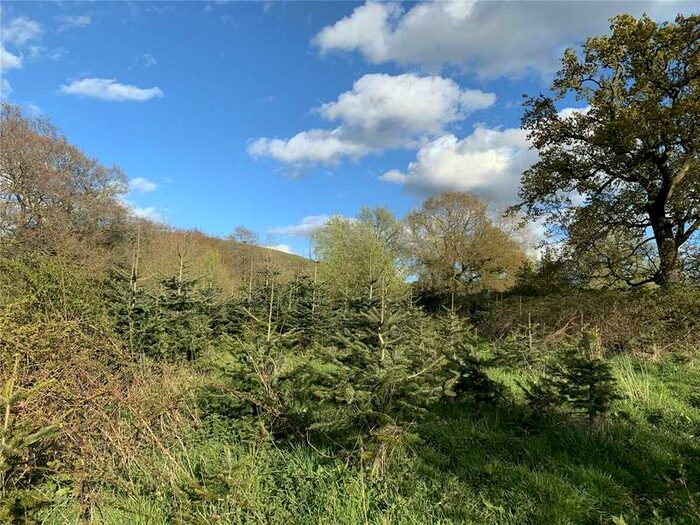 Equestrian Facility Character Property For Sale In Land At Hollyhurst