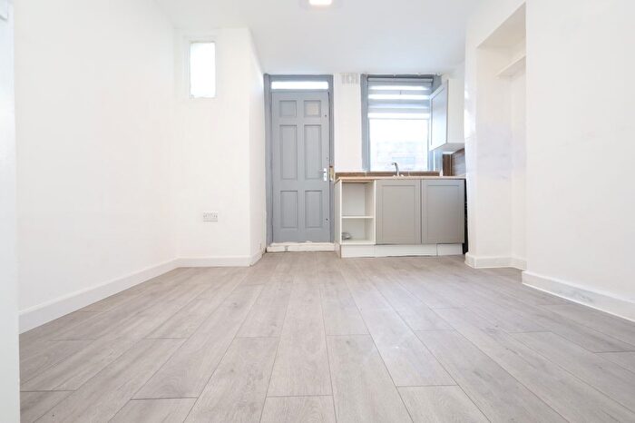 Studio To Rent In Springfield, London, E5