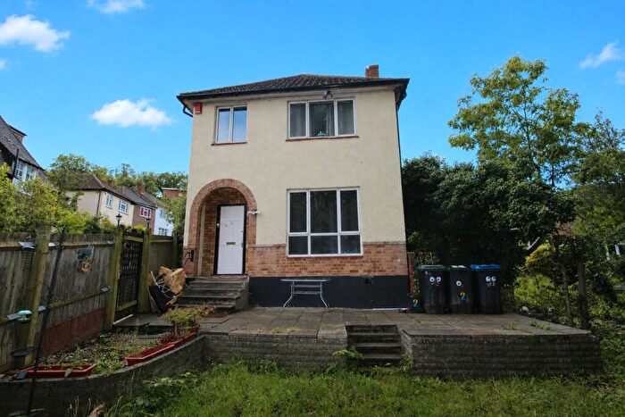 3 Bedroom Detached House To Rent In Auckland Gardens, London, SE19