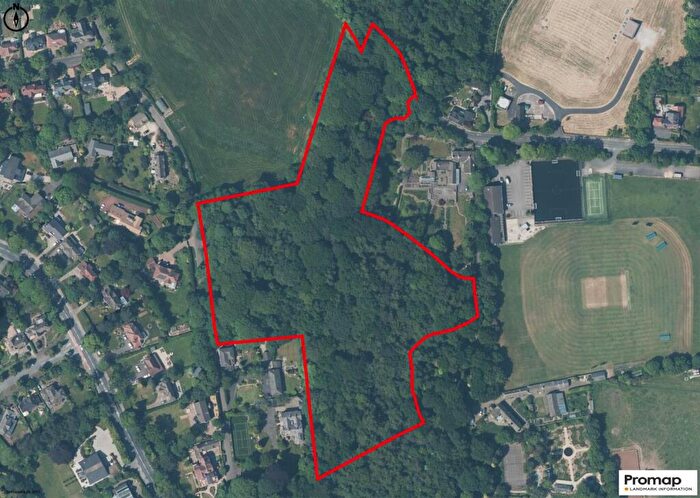 Land For Sale In . Acres Of Woodland Off Light Alders Lane, Disley, Stockport, SK12