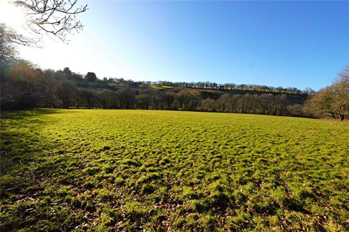 Land For Sale In Tavistock, Devon, PL19