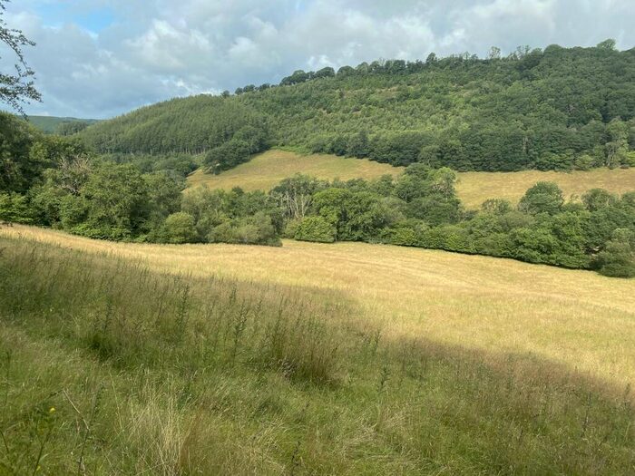 Land For Sale In Halfway, Llandovery, Carmarthenshire., SA20
