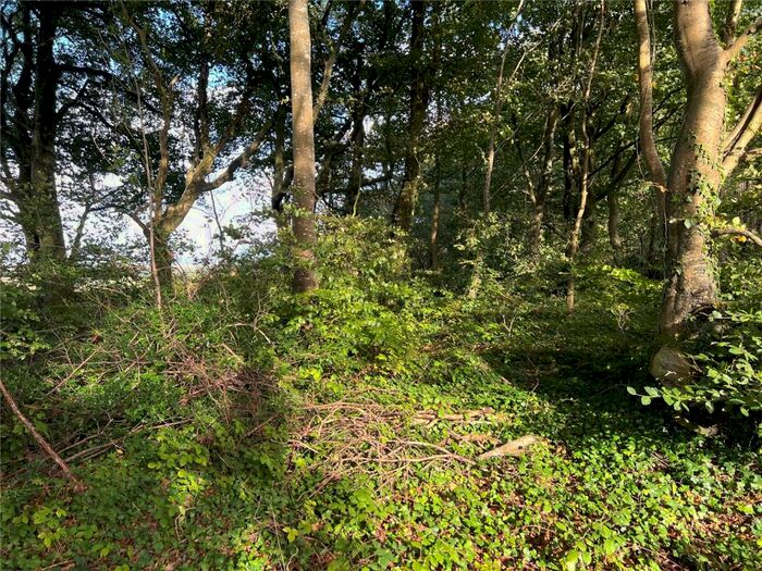 Land For Sale In North Tamerton, Holsworthy, EX22