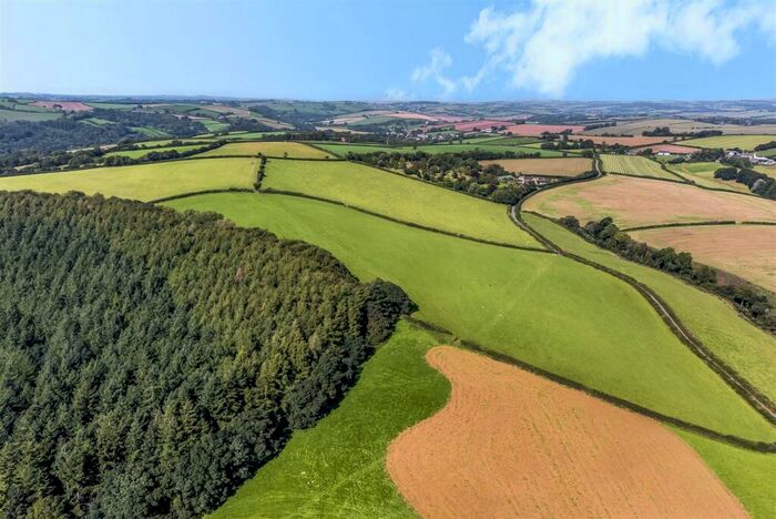 Land For Sale In Queensnympton, South Molton, North Devon, EX36