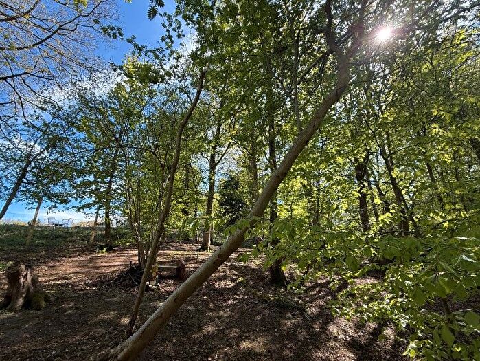 Land For Sale In Muchness Woods, Sheringwood, Beeston Regis, Norfolk, NR26