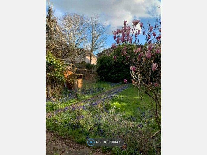 2 Bedroom Semi-Detached House To Rent In Cardington Road, Bedford, MK42