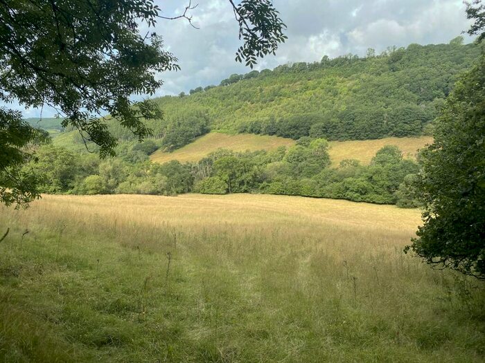 Land For Sale In Halfway, Llandovery, Carmarthenshire., SA20