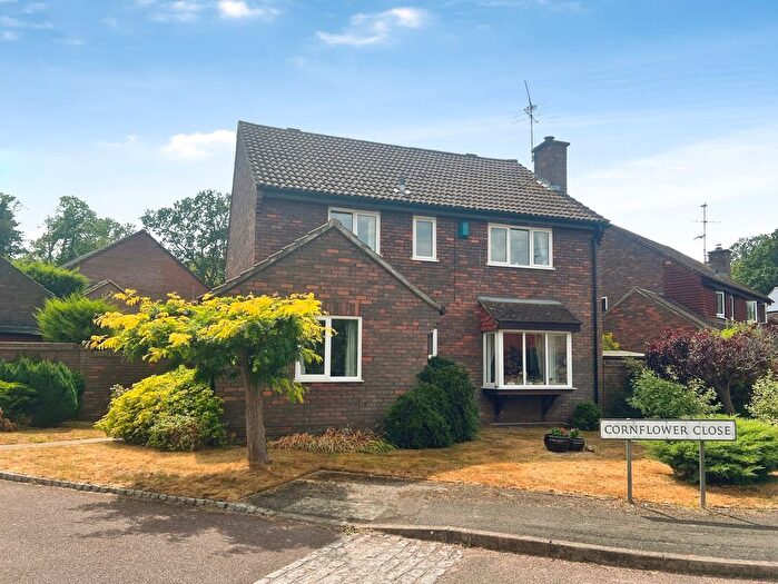 4 Bedroom Detached House For Sale In Cornflower Close, Wokingham, Berkshire, RG41