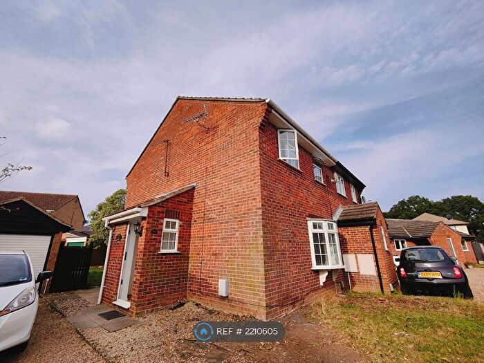 3 Bedroom Semi-Detached House To Rent In Ploughmans Headland, Stanway, Colchester, CO3