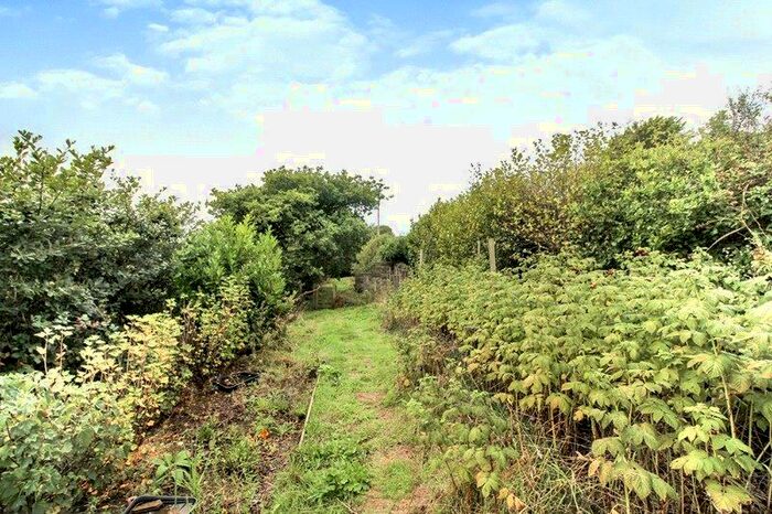 Plot For Sale In Milton Damerel, Holsworthy, EX22