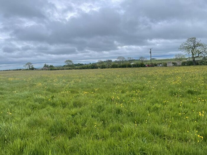Farm Land For Sale In Wham Road, Southside, Butterknowle, County Durham, DL13
