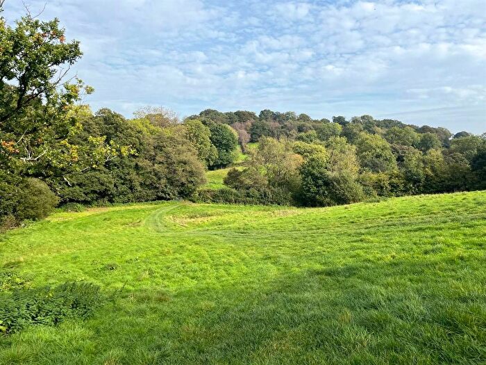 Land For Sale In Birchwood, Otterford, Chard, Somerset, TA20