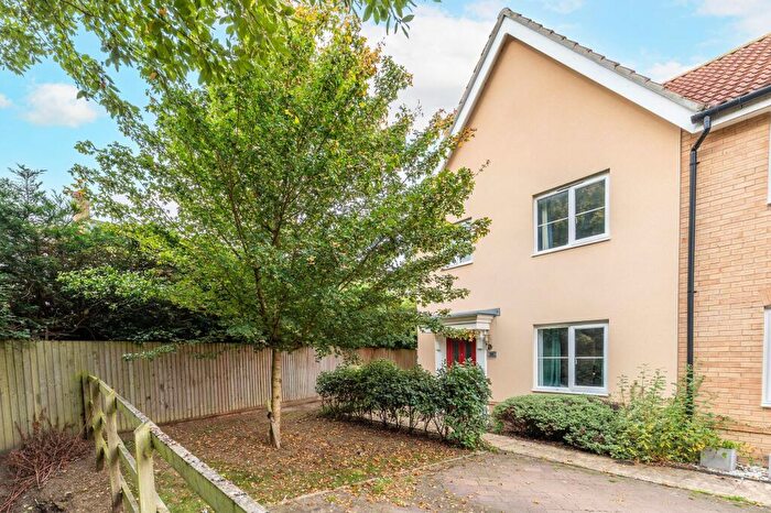 3 Bedroom Semi Detached House For Sale In Meadowsweet Mews, Tharston, NR15