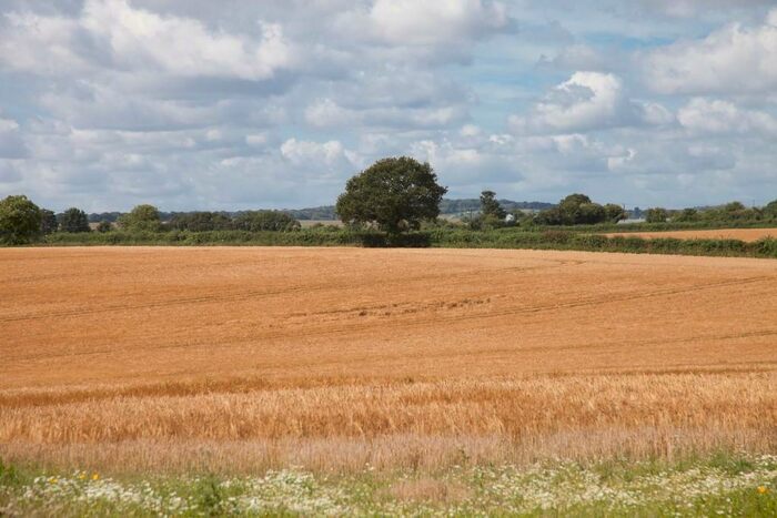 Plot For Sale In Plot, Over Wallop, Stockbridge, Hampshire, SO20