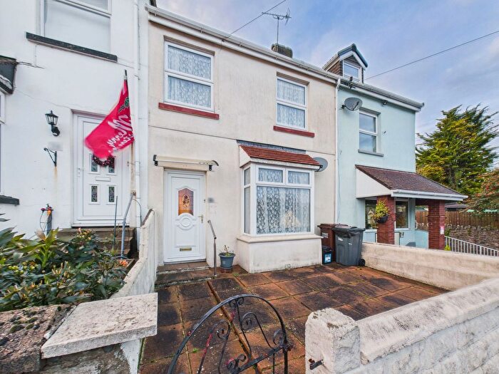 3 Bedroom Terraced House For Sale In Isaacs Road, Torquay, TQ2