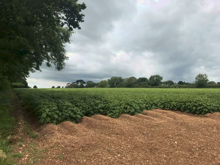 Land To Rent In Colquite, PL30