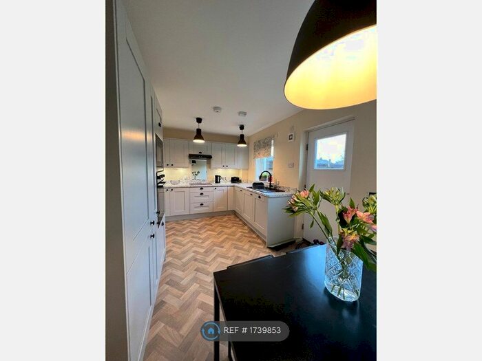 3 Bedroom Semi-Detached House To Rent In Brewster Place, St. Andrews, KY16