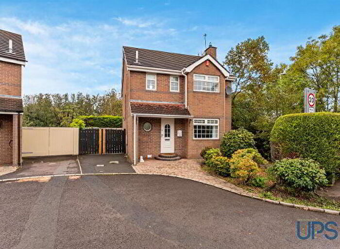3 Bedroom Detached House For Sale In Cotlands Green, Belfast, BT17