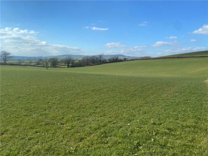 Land For Sale In Pilsdon, Bridport, Dorset, DT6