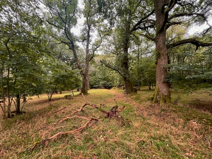 Land For Sale In Llangadog, SA19