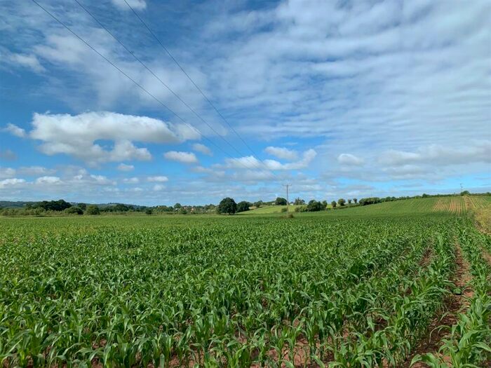 Land For Sale In Rewe, Exeter, EX5