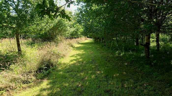 Land For Sale In Thorndon Cross, Okehampton EX20
