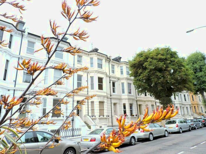 2 Bedroom Flat To Rent In Norton Road, Hove, BN3