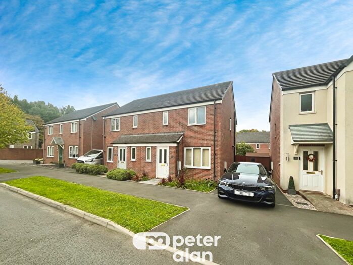 3 Bedroom Property To Rent In Sir Briggs Avenue, Duffryn, Newport, NP10