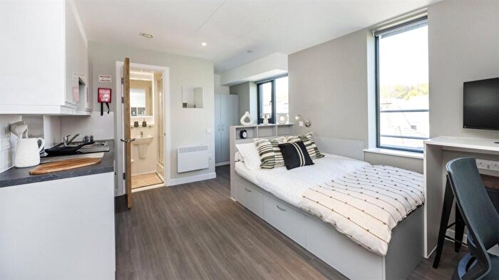 Studio To Rent In Hollingdean Road, Brighton, East Sussex, BN2