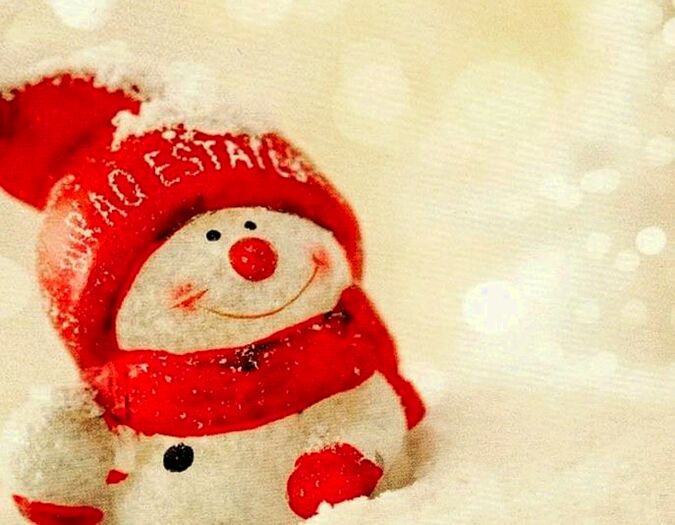 2 Bedroom Semi-Detached House To Rent In Owens Park, Wilmslow Road, Fallowfield, Manchester, M14