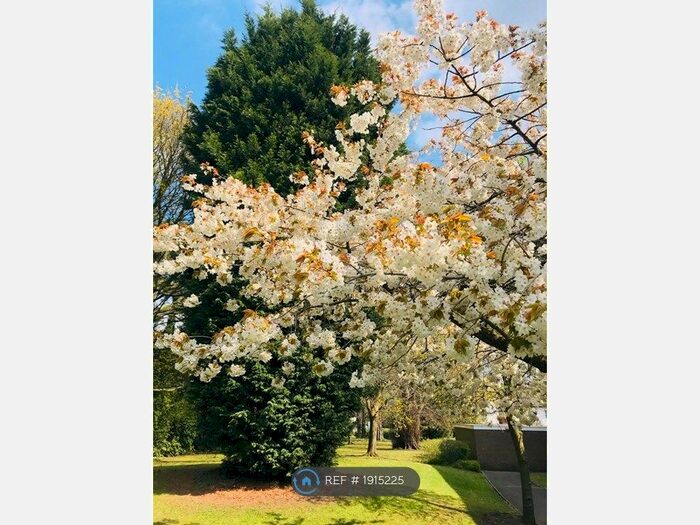 2 Bedroom Flat To Rent In Stockdale Place, Birmingham, B15