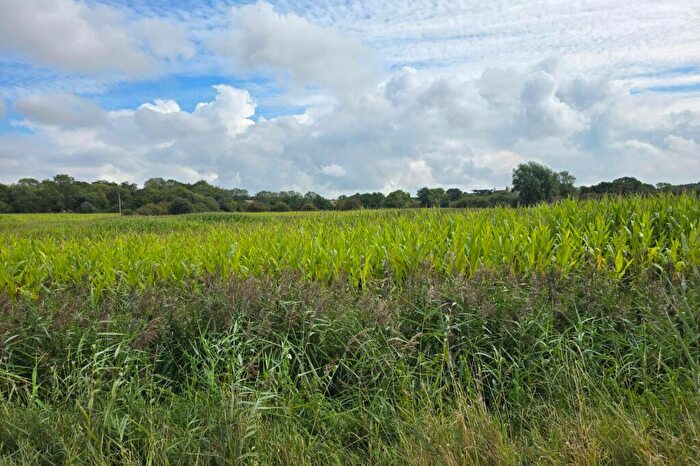 Land For Sale In Land At Sutton, Ely, Cambridgeshire, CB6