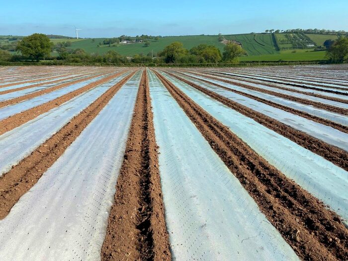 Land For Sale In Lezant, Launceston, Cornwall, PL15