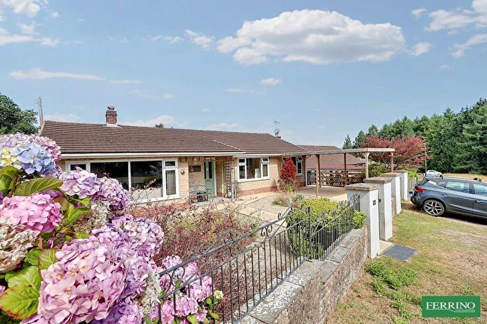 3 Bedroom Detached House For Sale In ( Bed And Edge Of Woodland), Hang Hill Road, Bream, Lydney, Gloucestershire., GL15