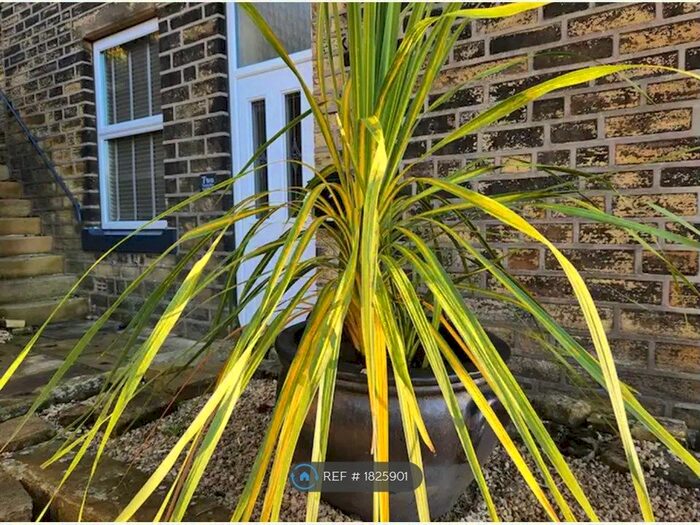 3 Bedroom Semi-Detached House To Rent In Victoria Place, Luddendenfoot, Halifax, HX2