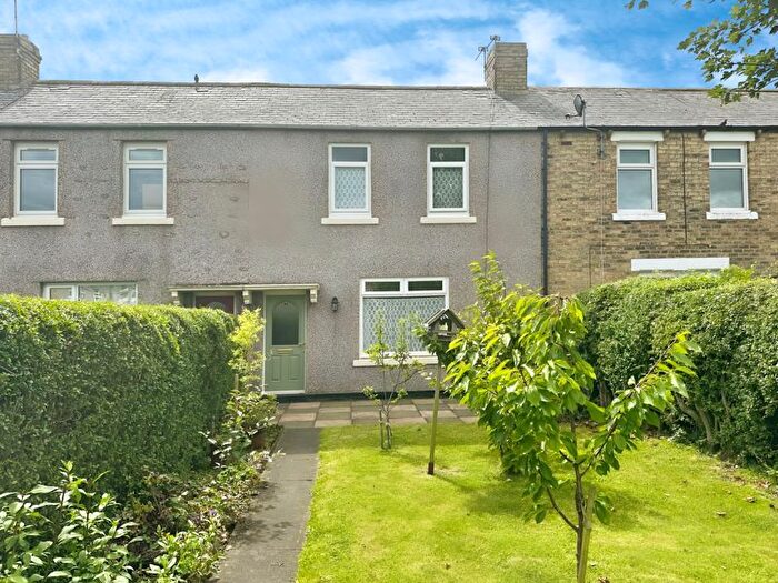 2 Bedroom Terraced House For Sale In Dalton Avenue, Morpeth, NE61