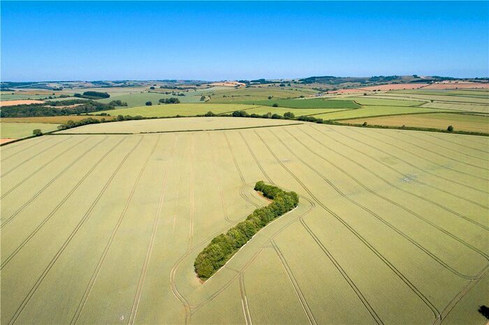 Land For Sale In Dewlish, Dorchester, Dorset, DT2