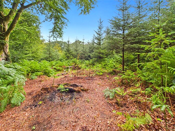 Land For Sale In Lot D, Lewdown, Okehampton, EX20