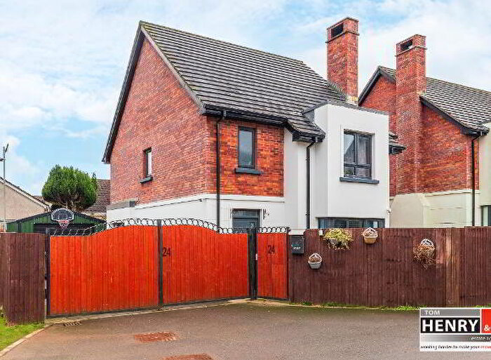 3 Bedroom Detached House For Sale In Millview Meadow, Dungannon, BT71