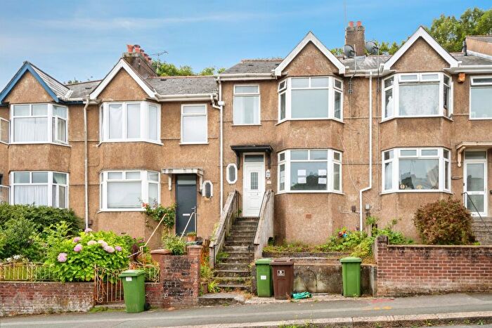 3 Bedroom Terraced House For Sale In Blandford Road, Plymouth, PL3