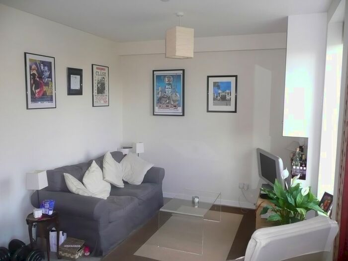 1 Bedroom Flat To Rent In Ferndale Road, London, SW9