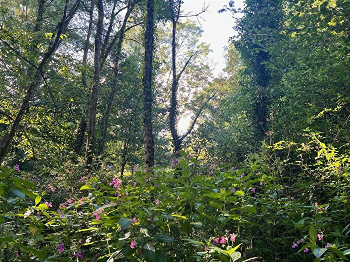 Land For Sale In Farway, Colyton, EX24