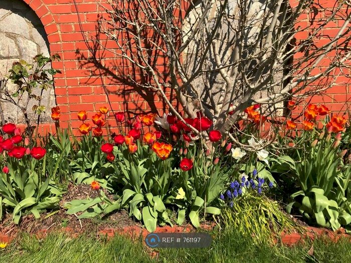 3 Bedroom Detached House To Rent In Southill Road, Bournemouth, BH9