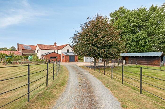 3 Bedroom Detached House For Sale In Ashby St. Mary, NR14