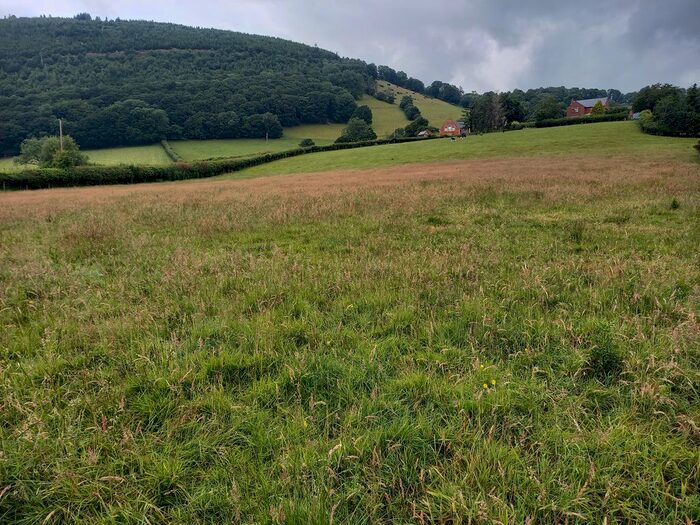 Land For Sale In Maes Yr Eglwys, Llanwnog, Caersws, SY17