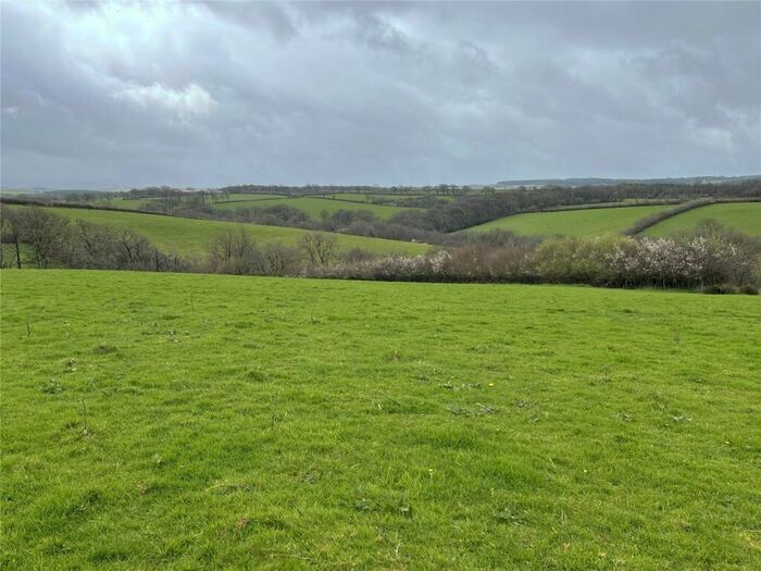 Land For Sale In Northlew, Okehampton, Devon, EX20